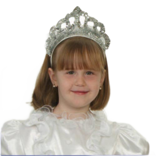 Silver Tiara With Veil