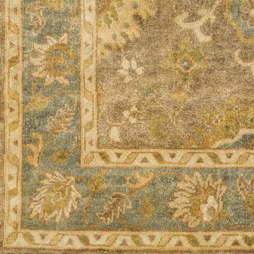 Gonzales Traditional Beige Area Rug