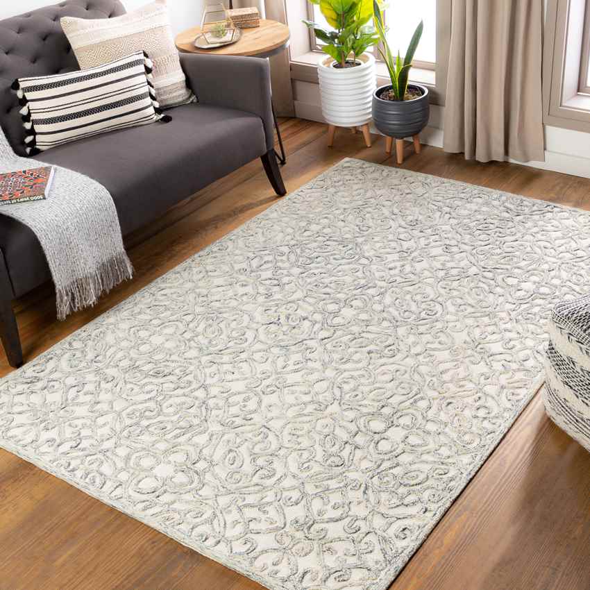 Haghorst Traditional Medium Gray Area Rug