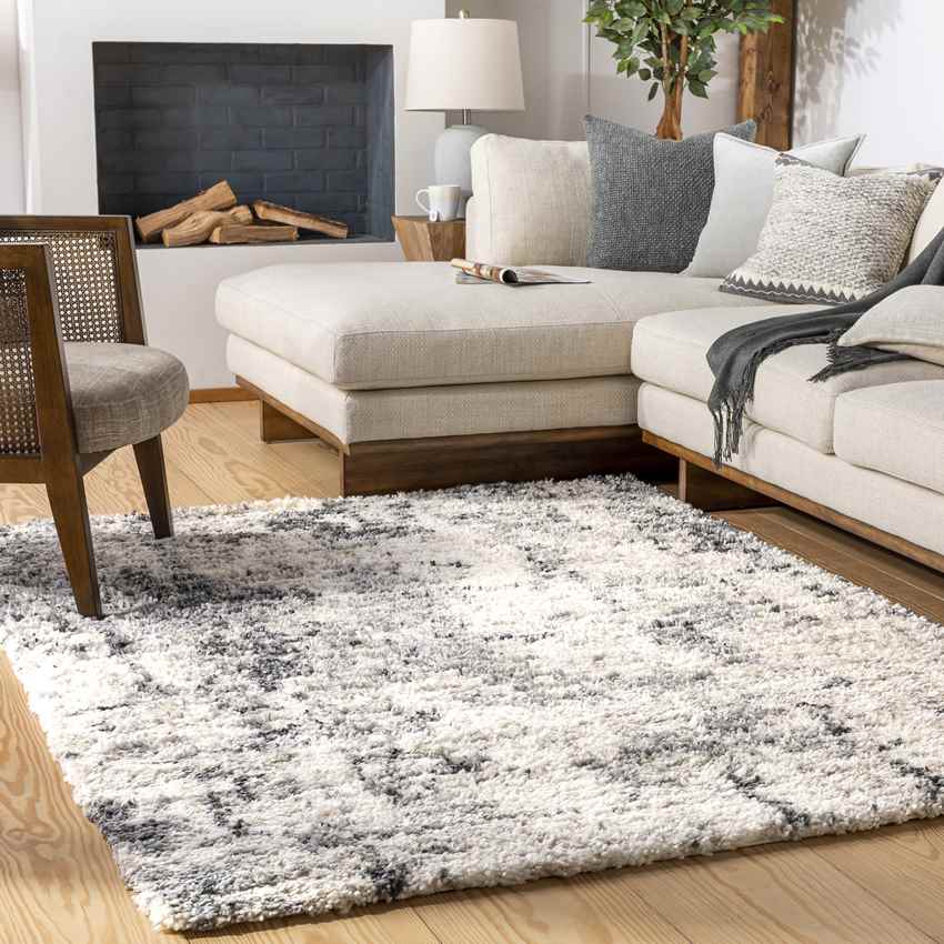 La Fayette Modern Light Gray Area Rug